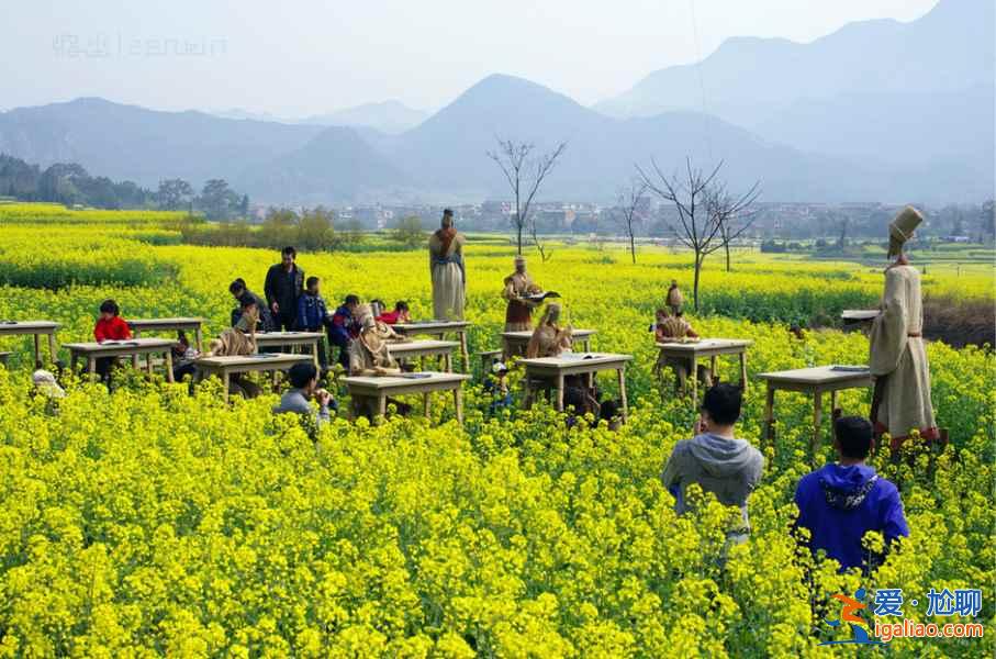 2017仙居油菜花什么時候開，仙居油菜花門票多少錢？