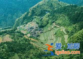 2017仙居油菜花什么時候開，仙居油菜花門票多少錢？
