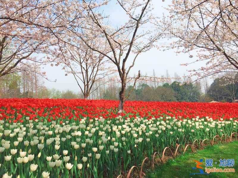 杭州騎行路線推薦,杭州有哪些騎行路線,杭州最美騎行路線? 杭州騎行路線推薦,杭州有哪些騎行路線,杭州最美騎行路線?