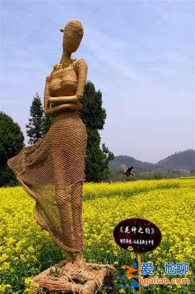 2017仙居油菜花什么時候開，仙居油菜花門票多少錢？