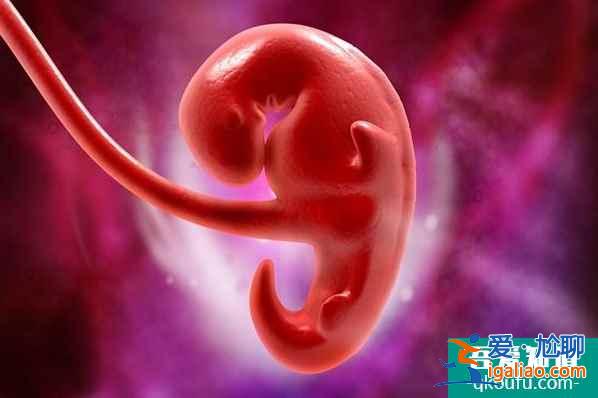 36歲女性赴美做試管，成功率如何？？