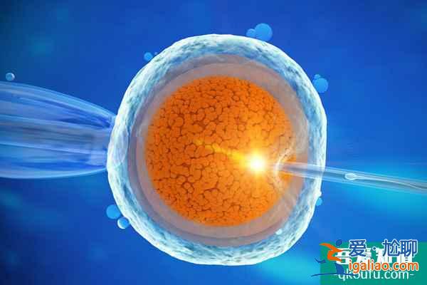 男性去做試管嬰兒前如何提高精子質(zhì)量？？