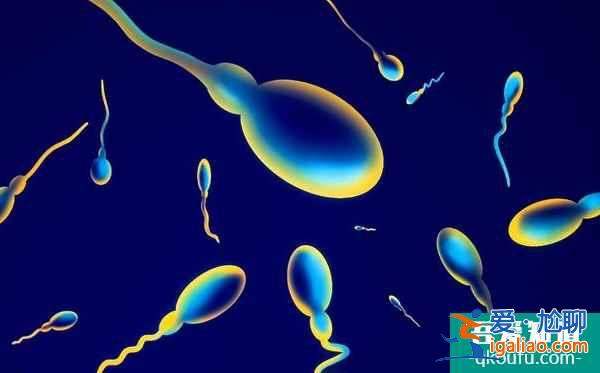 男性去做試管嬰兒前如何提高精子質(zhì)量？？