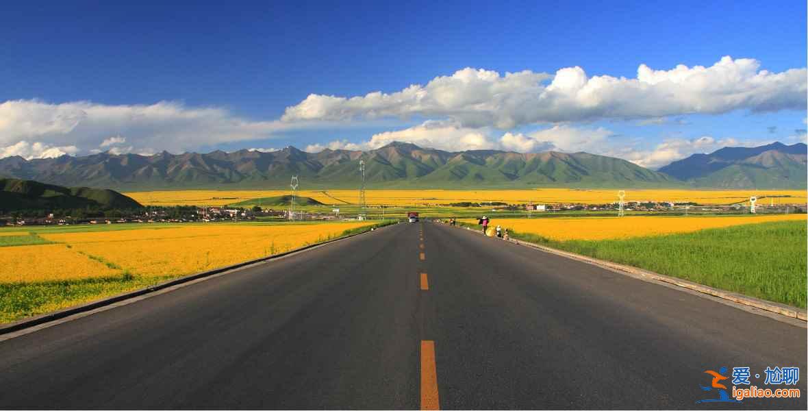 2017門源油菜花花期,2017門源油菜花幾月開? 2017門源油菜花花期,2017門源油菜花幾月開?