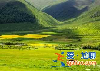 2017門源油菜花花期,2017門源油菜花幾月開? 2017門源油菜花花期,2017門源油菜花幾月開?