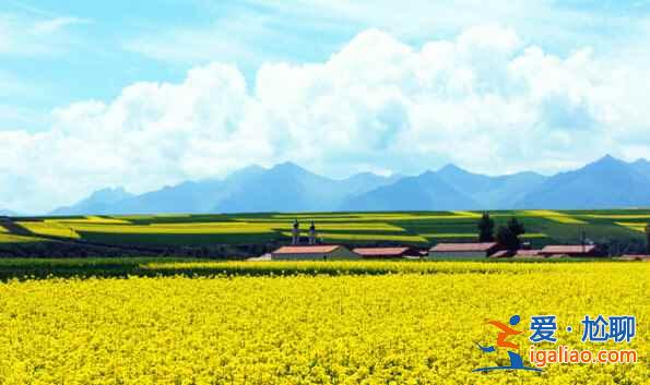 2017中國六大賞油菜花海勝地(附觀賞時間)? 2017中國六大賞油菜花海勝地(附觀賞時間)?