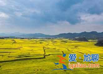 2017中國六大賞油菜花海勝地(附觀賞時間)? 2017中國六大賞油菜花海勝地(附觀賞時間)?