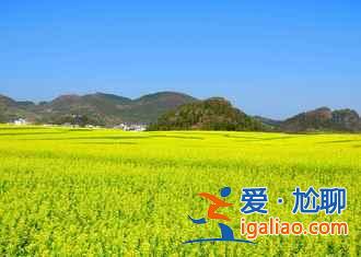 2017中國六大賞油菜花海勝地(附觀賞時間)? 2017中國六大賞油菜花海勝地(附觀賞時間)?