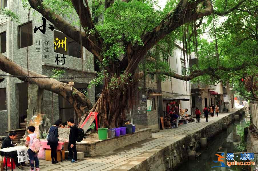 五月廣州有什么好玩的地方，五月廣州哪里好玩，五月廣州游玩攻略？
