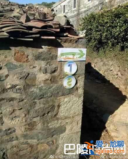 陳小春帶兒子上爸爸去哪兒 揭陳小春怕應采兒的原因？