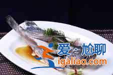 清蒸石斑魚？