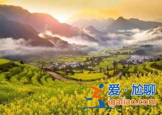 春天去哪看油菜花,2017哪的油菜花最好看? 春天去哪看油菜花,2017哪的油菜花最好看?