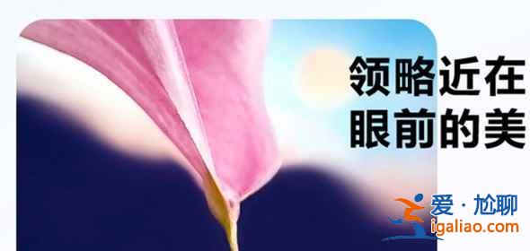 榮耀play5有防抖功能嗎？