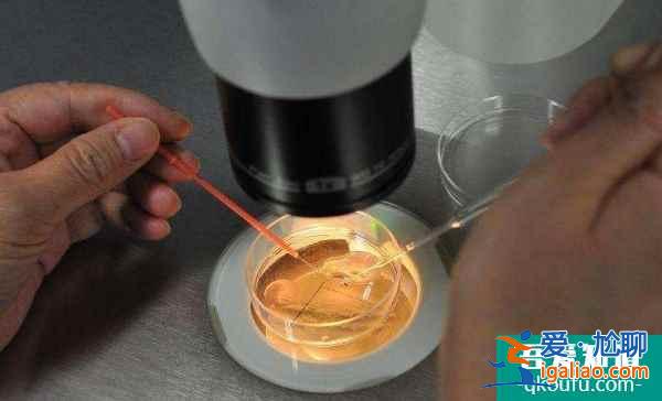 試管嬰兒如何提高卵子受精率?? 試管嬰兒如何提高卵子受精率??