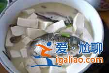 鯽魚豆腐湯的做法？