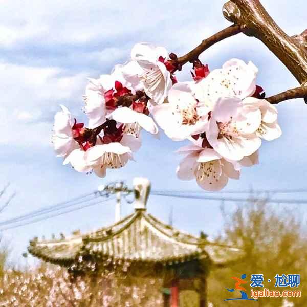 2019五一自駕游去哪里好,五一自駕旅游好去處? 2019五一自駕游去哪里好,五一自駕旅游好去處?