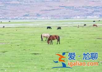 畢業(yè)旅行好去處，2018國(guó)內(nèi)畢業(yè)旅行的最佳去處？