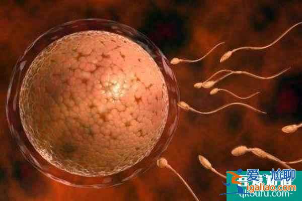 試管嬰兒專家教您避免IVF失敗的四個不良行為? 試管嬰兒專家教您避免IVF失敗的四個不良行為?