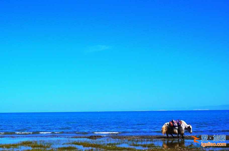 【騎行青海湖最佳時間】環(huán)青海湖騎行需要幾天，青海湖騎行路線+攻略？