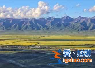 門源油菜花怎么去,2018門源油菜花交通費用? 門源油菜花怎么去,2018門源油菜花交通費用?