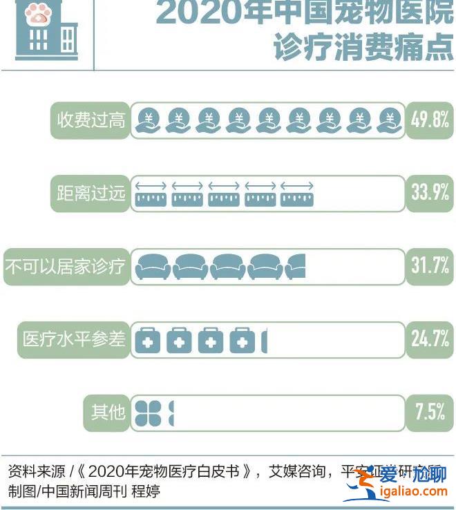 因為看病貴 他們放棄了自己的寵物? 因為看病貴 他們放棄了自己的寵物?