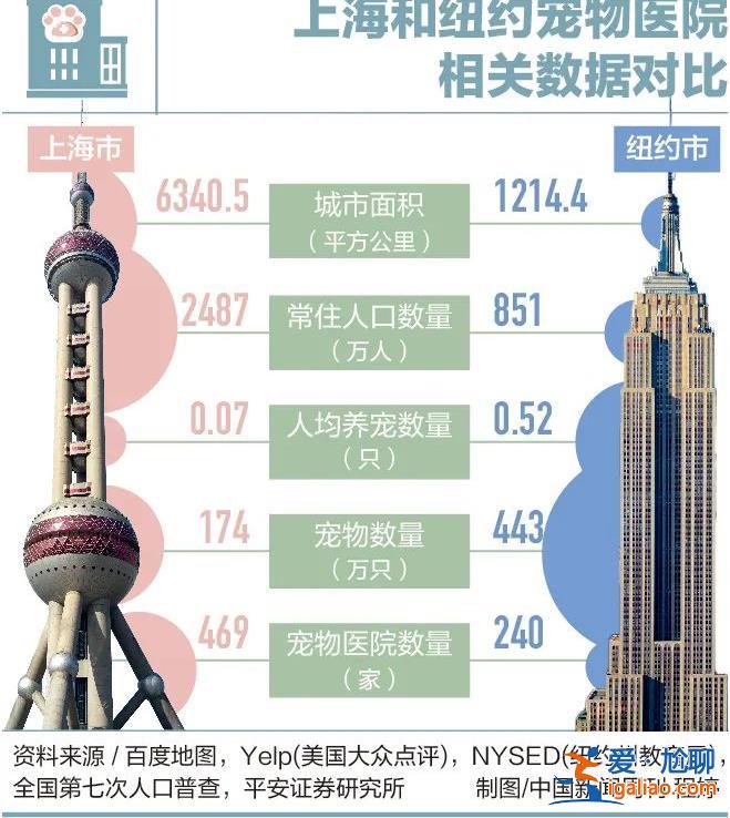 因為看病貴 他們放棄了自己的寵物? 因為看病貴 他們放棄了自己的寵物?