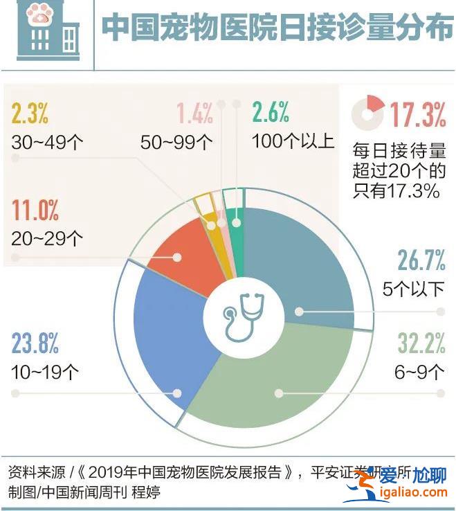因為看病貴 他們放棄了自己的寵物? 因為看病貴 他們放棄了自己的寵物?