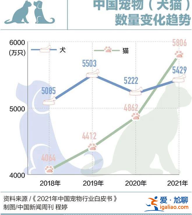 因為看病貴 他們放棄了自己的寵物? 因為看病貴 他們放棄了自己的寵物?
