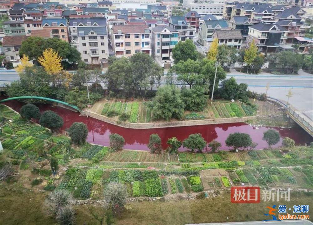 已送檢? 已送檢?