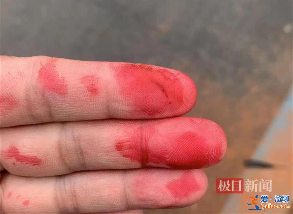 已送檢? 已送檢?