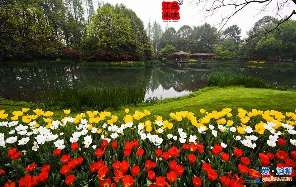 【杭州五一天氣】2018杭州五一天氣預報,2017五一去杭州人多嗎? 【杭州五一天氣】2018杭州五一天氣預報,2017五一去杭州人多嗎?