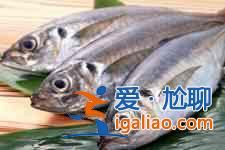 海魚怎么做不腥? 海魚怎么做不腥?