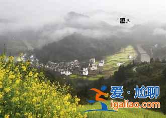 2017石潭油菜花什么時候開，2017石潭油菜花賞花攻略？