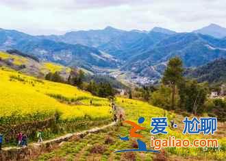 2017石潭油菜花什么時候開，2017石潭油菜花賞花攻略？