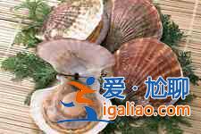 扇貝怎么洗？