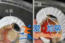 扇貝怎么洗？