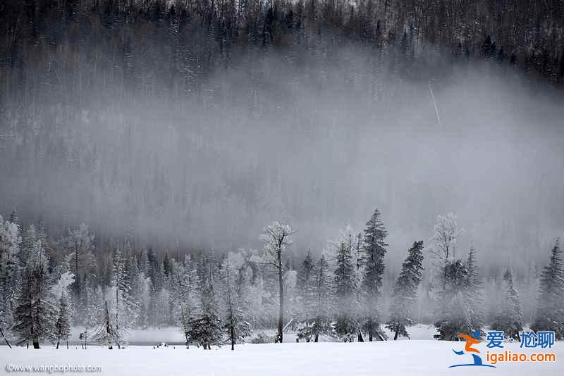 冬天的北疆,美的驚為天人? 冬天的北疆,美的驚為天人?