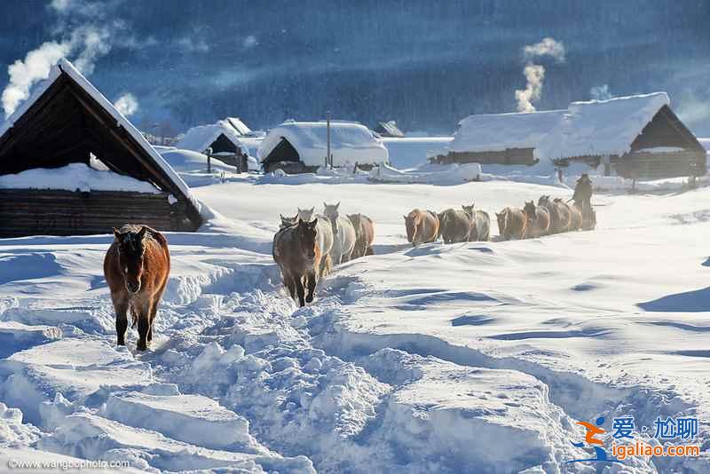 冬天的北疆,美的驚為天人? 冬天的北疆,美的驚為天人?