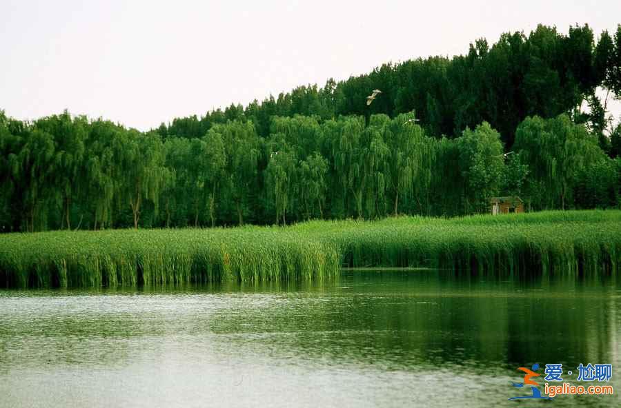 五一北京周邊游,2019五一北京周邊游好去處? 五一北京周邊游,2019五一北京周邊游好去處?