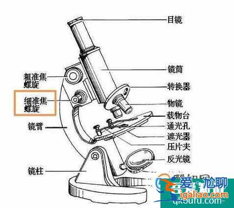 使用顯微鏡的五個基本步驟？