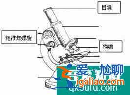 使用顯微鏡的五個基本步驟？