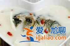 鯽魚(yú)燉豆腐的做法？