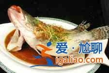 清蒸桂魚(yú)的做法？