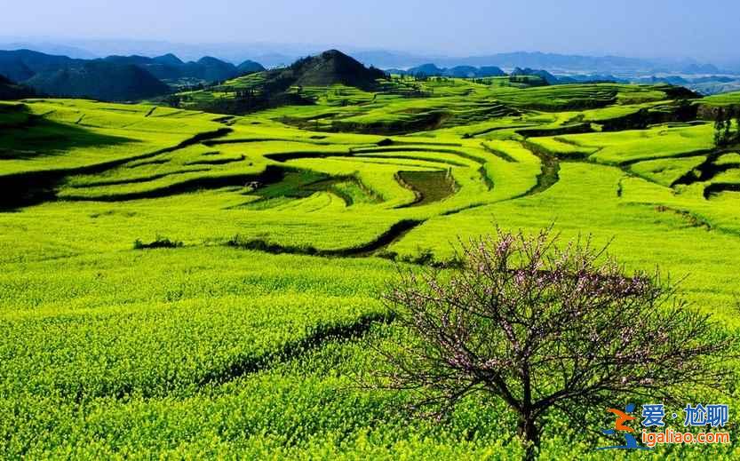 2018羅平油菜花海，羅平好玩么，羅平哪里好玩？