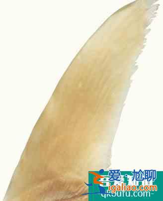 2021年湖南特色菜 盤點湘菜的最新特色菜？