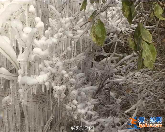 延慶今年冬天冷嗎?北京延慶現冰瀑景觀? 延慶今年冬天冷嗎?北京延慶現冰瀑景觀?