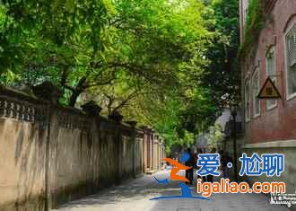 【畢業(yè)旅行的最佳去處】畢業(yè)旅行 去廈門看鳳凰花開？