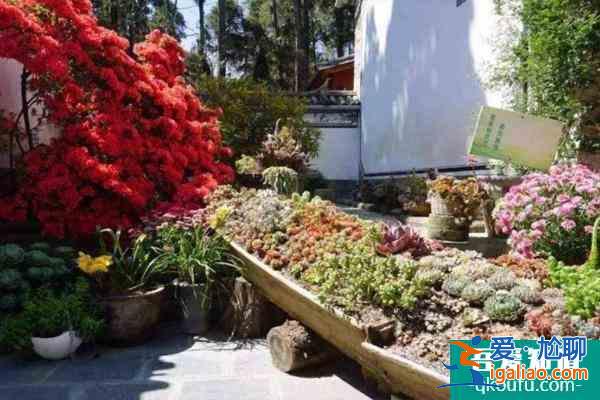 大理寂照庵齋飯時(shí)間 寂照庵怎么去? 大理寂照庵齋飯時(shí)間 寂照庵怎么去?