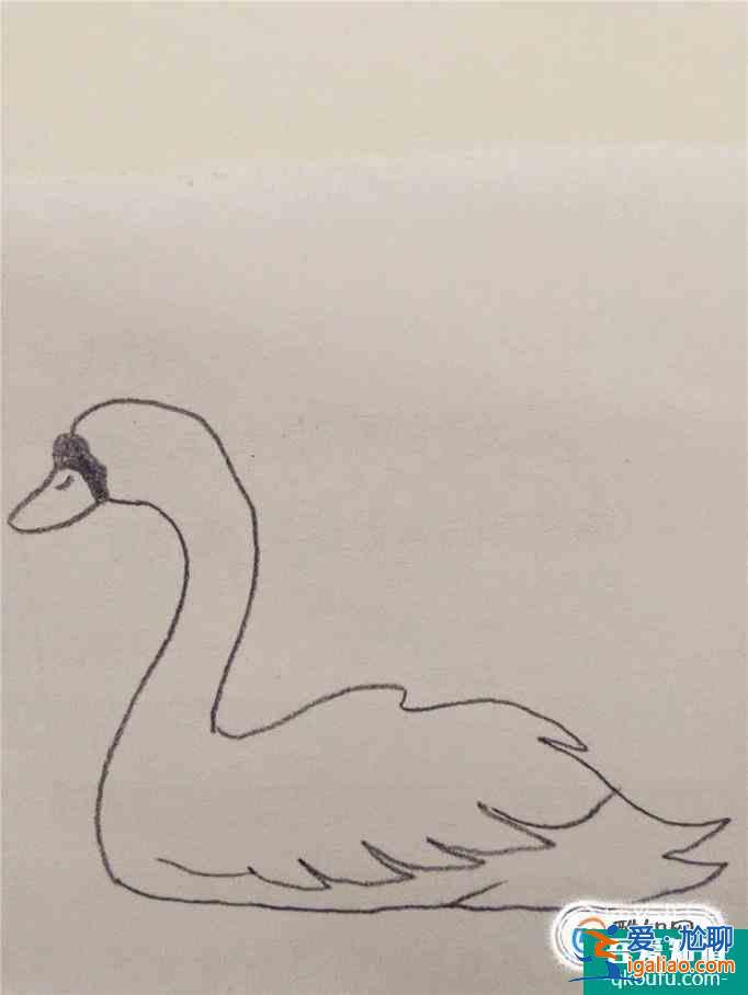 畫白天鵝的簡筆畫？