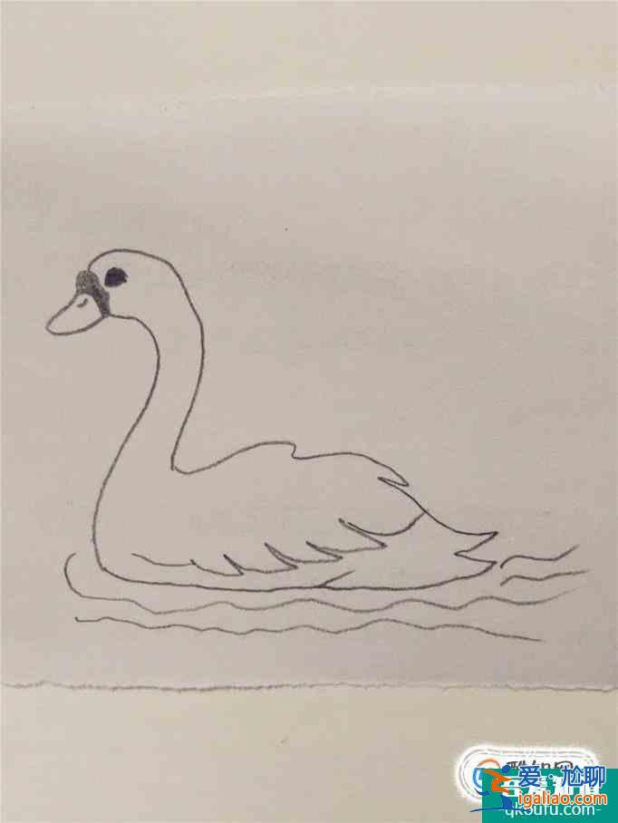 畫白天鵝的簡筆畫？